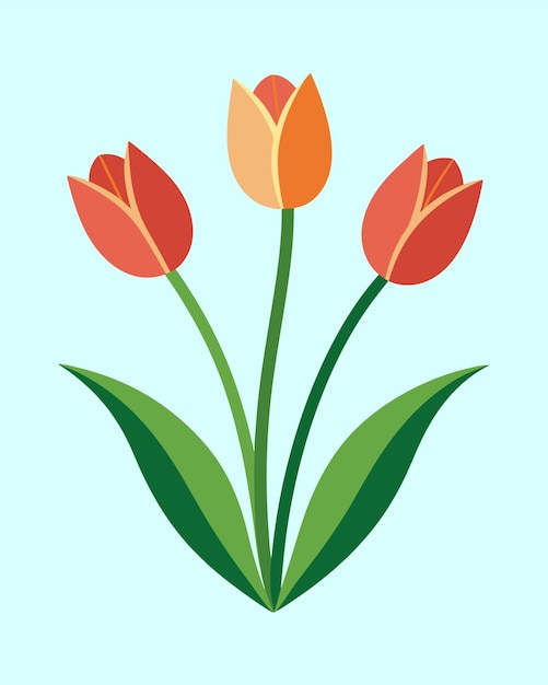 Vector simple tulip flower vector illustration with vibrant red and orange petals on a soft background