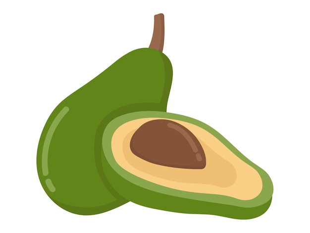 Simple vector avocado Flat doodle clipart All objects are repainted