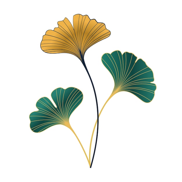 Simple vector design of ginkgo leaves on white background