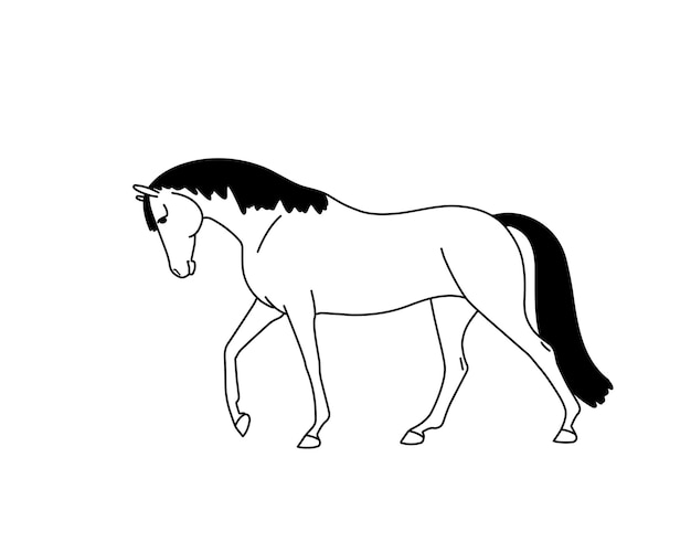 Simple vector drawing of a horse calmly walking forward