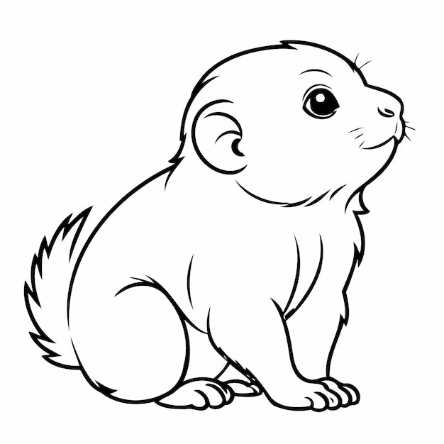 Vector simple vector illustration of marmoset doodle for kids coloring worksheet