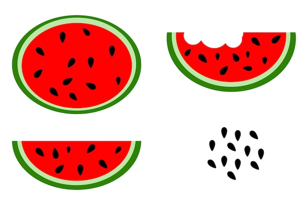 Simple vector set 4 watermelon water melon and seed