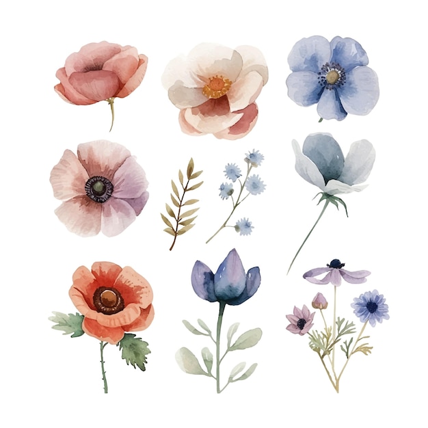 simple vector watercolor set of flowers