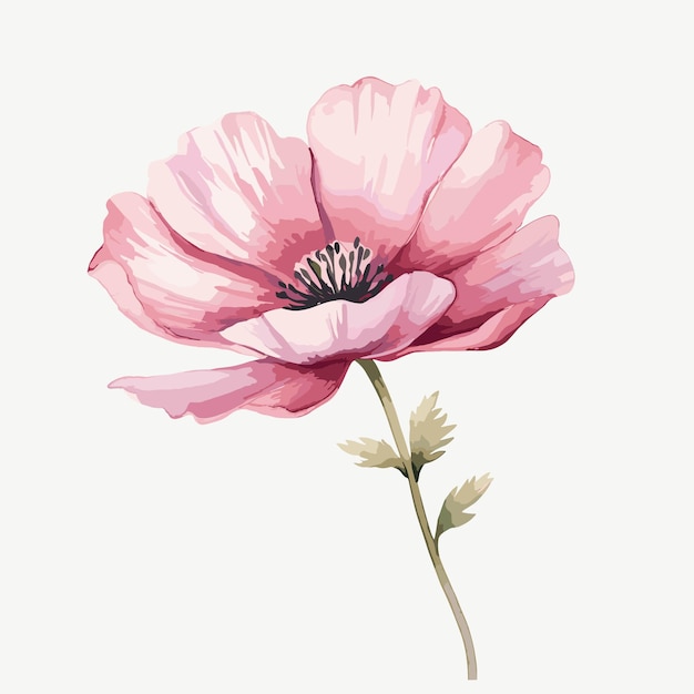 Simple watercolor flower