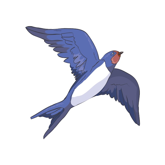 simplified image of a flying swallow isolated on a white background.