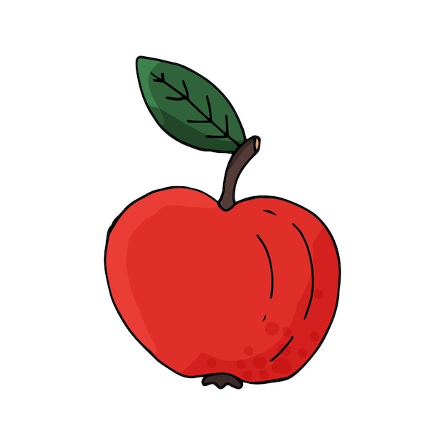 Single apple icon healthy food Hand drawn vector illustration in doodle style outline drawing