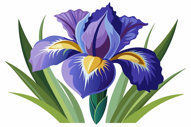 Vector single blue iris with green leaves