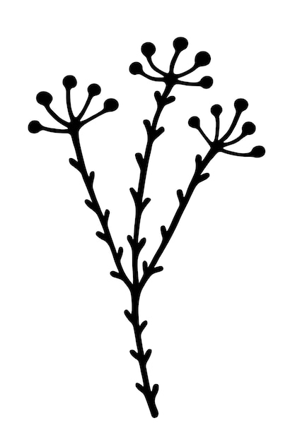 Single branch with leaves in ink isolated on white background Hand drawn vector decorative element