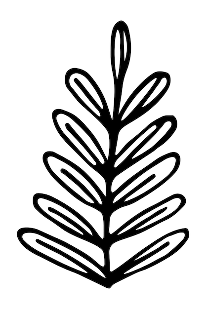 Single branch with leaves in ink isolated on white background Hand drawn vector decorative element