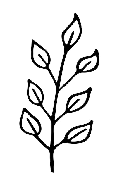 Single branch with leaves in ink isolated on white background Hand drawn vector decorative element