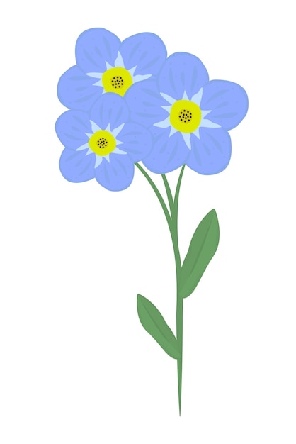 Single forget-me-not flower, blue bud with stem and leaves