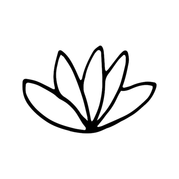 Single hand drawn ornamental flower lotus Doodle vector illustration Isolated on white background