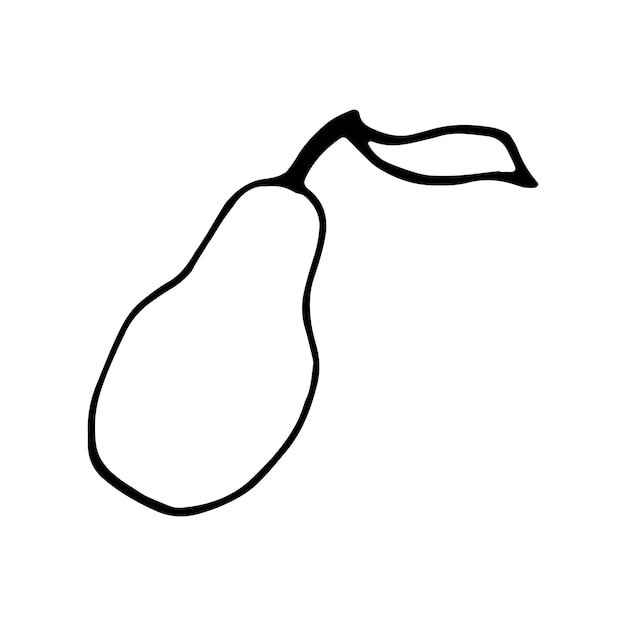 Single hand drawn pear for greeting cards, posters, recipe, culinary design. Isolated on white background. Doodle vector illustration.