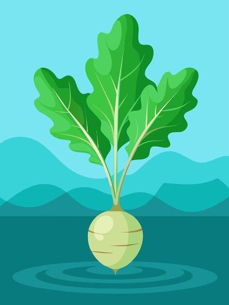 Vector a single kohlrabi with green leaves floating on water