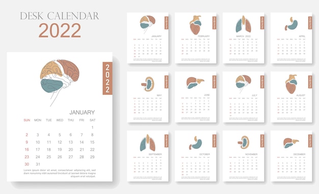 Single line human internal organ desk calendar 2022