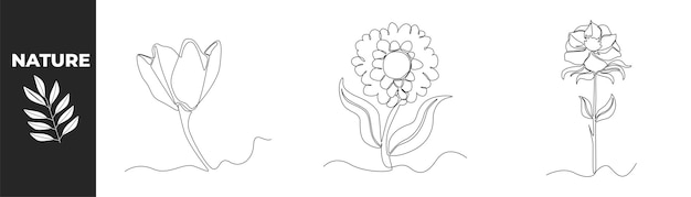 Single one line drawing flower set concept Beautiful and blooming flowers Continuous line draw design graphic vector illustration