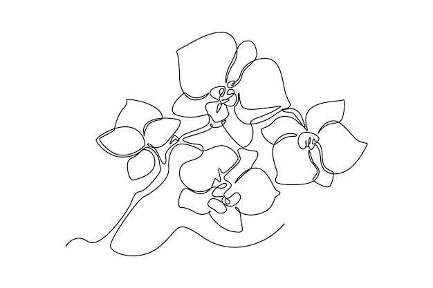 Single one line drawing orchid flower Beautiful flower concept Continuous line draw design graphic vector illustration