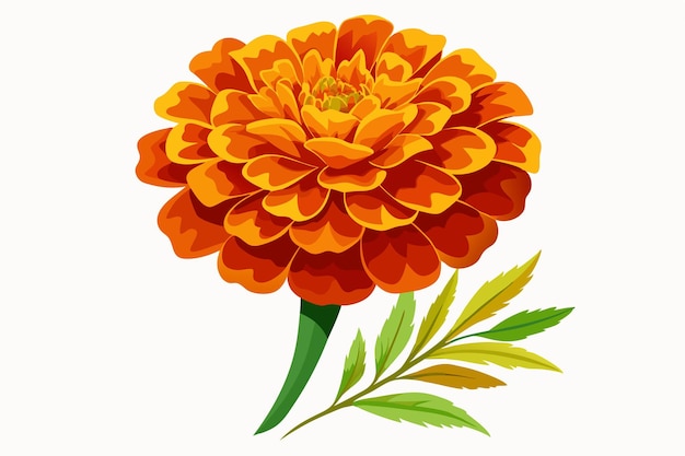 Vector single orange marigold flower with green leaves