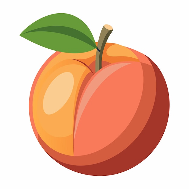 Vector a single peach with a green leaf and stem