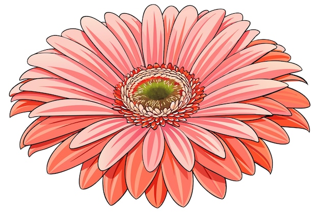 Vector a single pink gerbera daisy flower with a detailed illustration