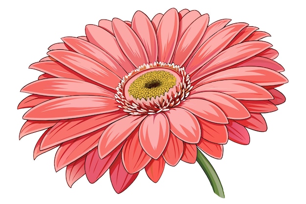 Vector a single pink gerbera daisy with a yellow center