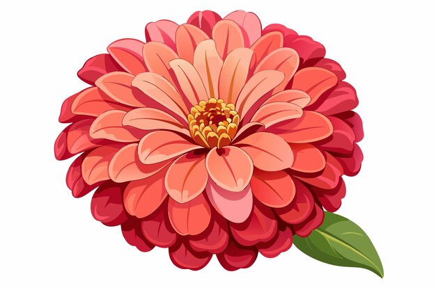 Vector a single pink zinnia flower with a green leaf