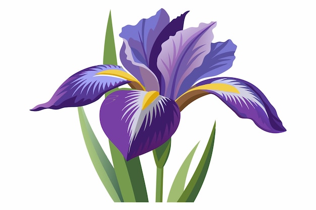 Vector a single purple iris flower with green leaves