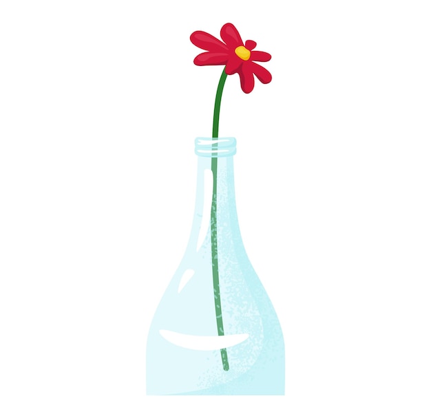 Vector single red flower clear glass bottle water minimalistic floral decoration simple elegant home