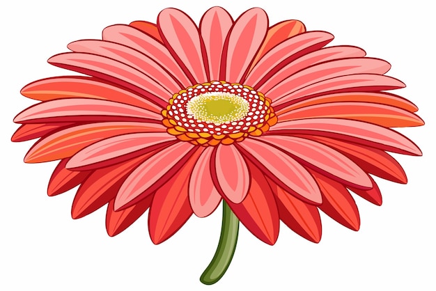 Vector a single red gerbera daisy with a green stem