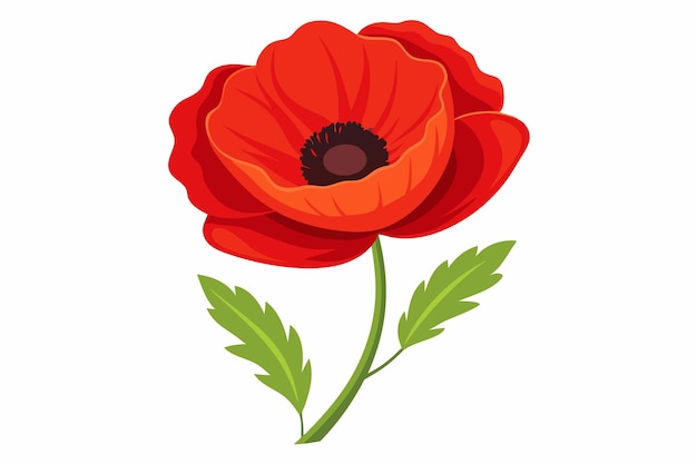 Vector a single red poppy flower with green leaves on a white background