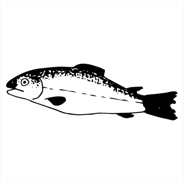 Single vector element is a pink salmon fish