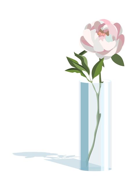 Single white peony in cylindrical vase in light flat style, isolated on white background