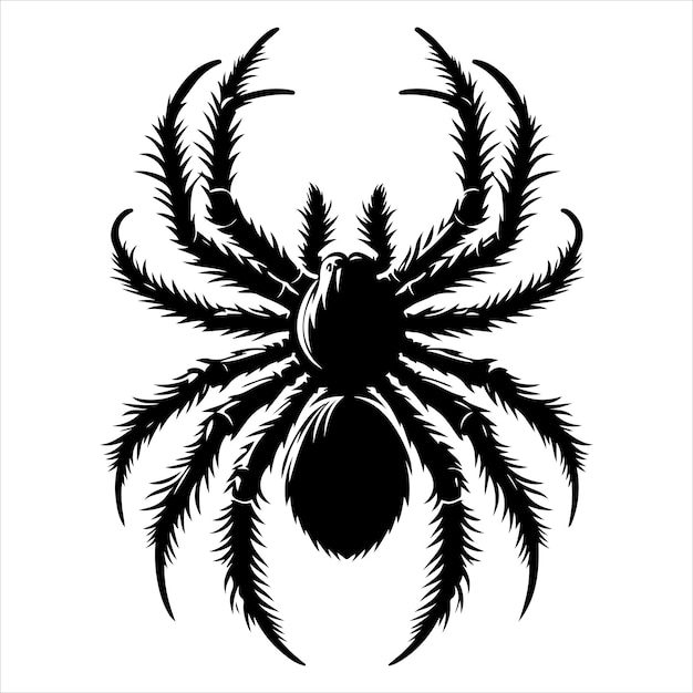 Vector siting spider silhouette vector art and graphic vector black color silhouette