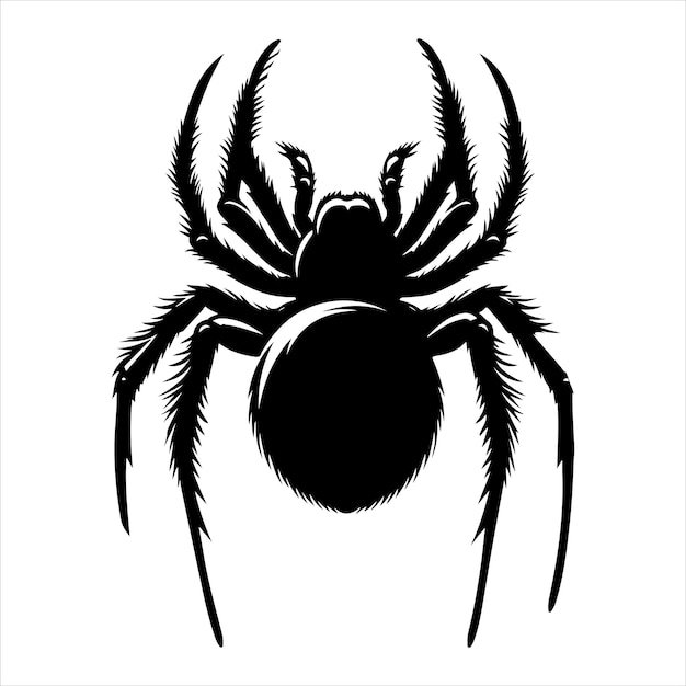 siting spider Silhouette Vector Art and Graphic vector black color silhouette