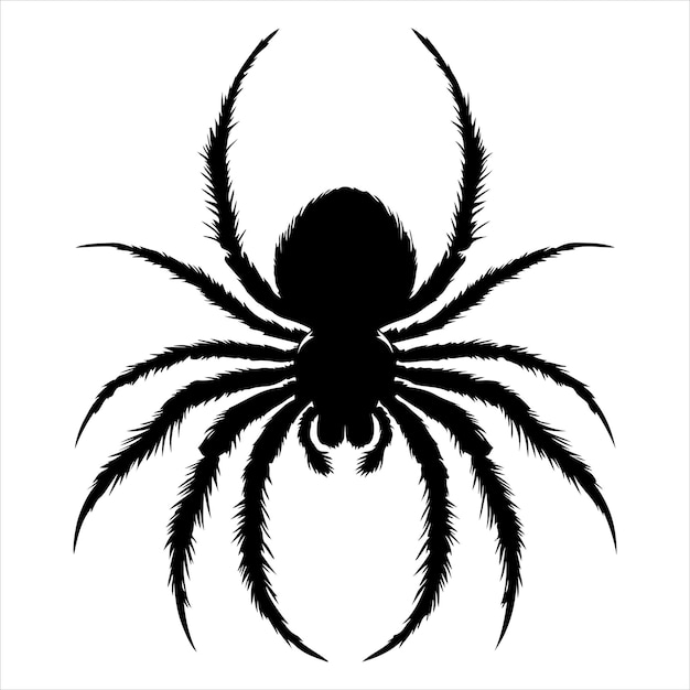 siting spider Silhouette Vector Art and Graphic vector black color silhouette