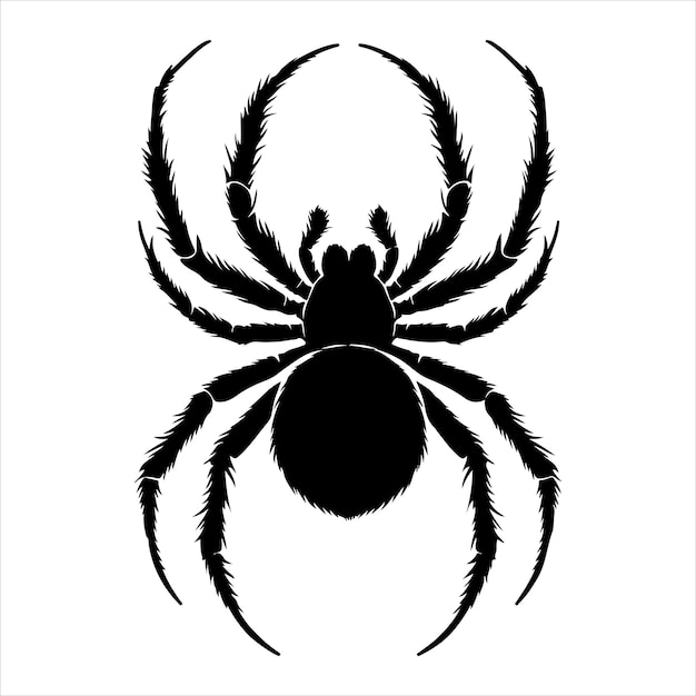 siting spider Silhouette Vector Art and Graphic vector black color silhouette