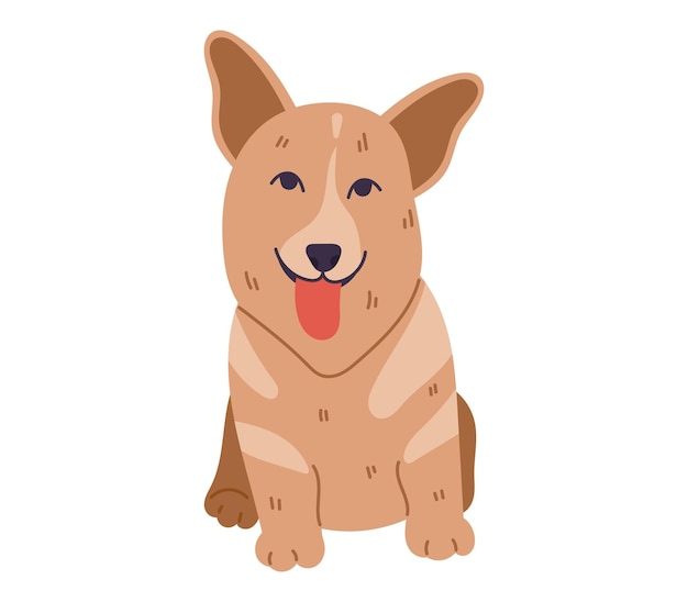 Sitting full face cute flat dog Corgi with tongue hanging out Vector isolated cartoon pet