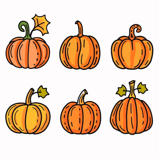 Six cartoon pumpkins unique outline stem details bright orange fall theme Halloween