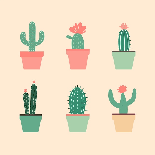 Six different cacti colorful pots simple flat design Home decor indoor plants cute cacti