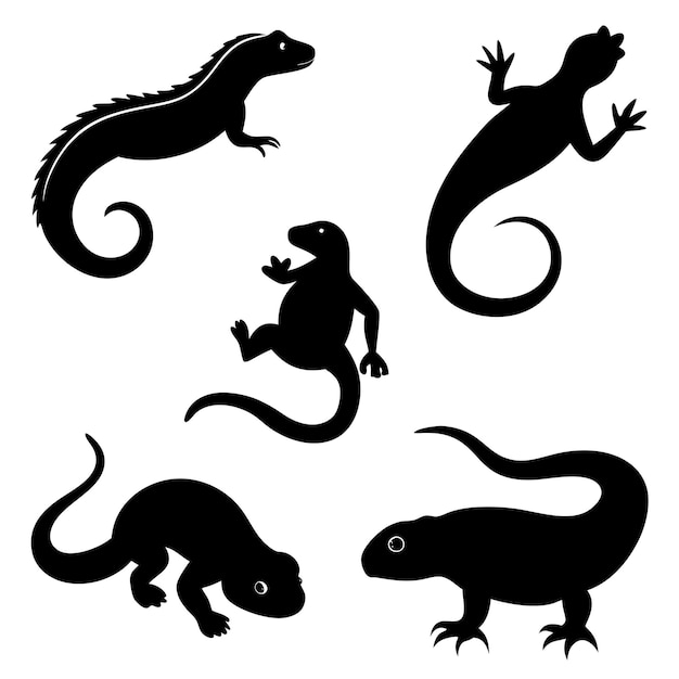 Six Distinctive Reptile Silhouettes Capturing the Diversity of Natures Crawling Creatures