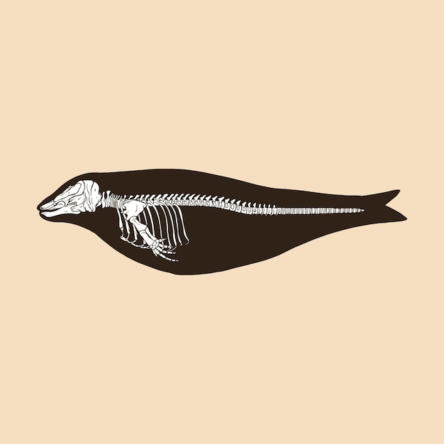 Skeleton narwhal female vector illustration