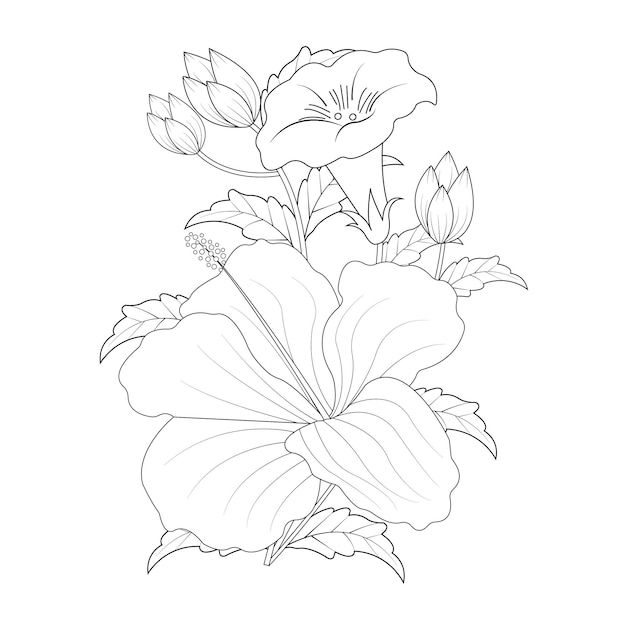 Sketch of beautiful hibiscus flowers in spring vector in illustration graphic design