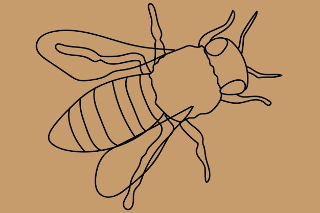 sketch bee line art