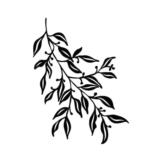 Sketch branch of leaves by hand on an isolated background