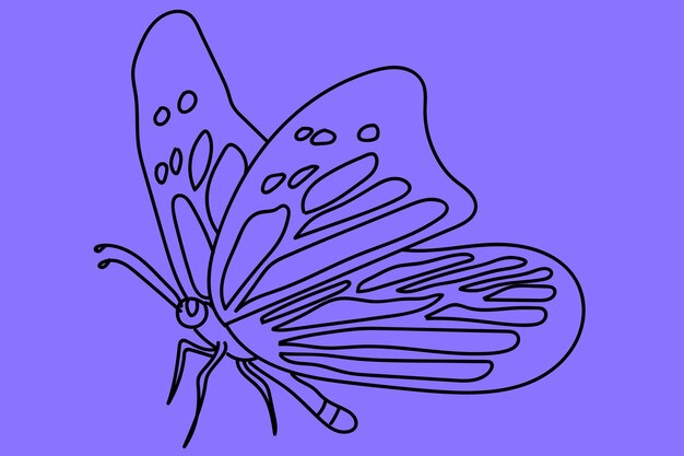 sketch butterfly line art