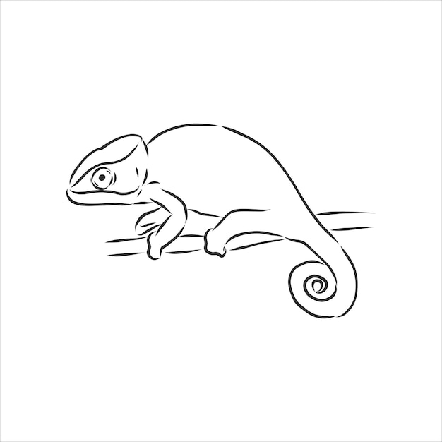 Sketch of chameleon. Hand drawn vector illustration.chameleon animal, vector sketch illustration