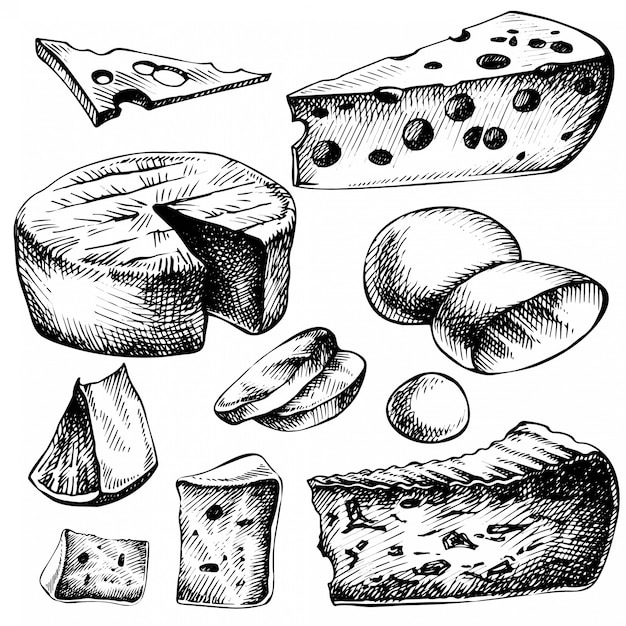 Sketch Cheese set. Hand drawn ink illustration of cheese types . Isolated on white