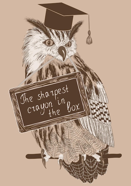 Vector sketch of clever owl on a branch with message board