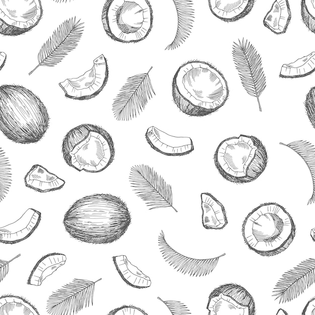 Sketch coconut pattern. Exotic food seamless texture. Palm leaves background. Coconut flora food, drawn seamless wallpaper illustration