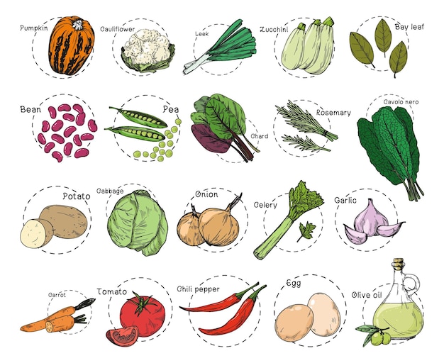 Sketch of different vegetables. Recipe stickers. Set of vegetables isolated on a white background. 